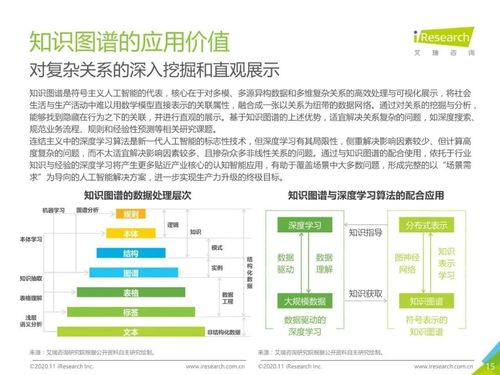 2020年中國(guó)面向人工智能新基建的知識(shí)圖譜行業(yè)白皮書 人工智能基礎(chǔ)軟件開發(fā)