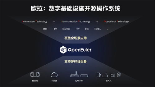 鴻蒙之后，華為捐贈歐拉操作系統 從生態突圍到人工智能基礎軟件的中國答卷